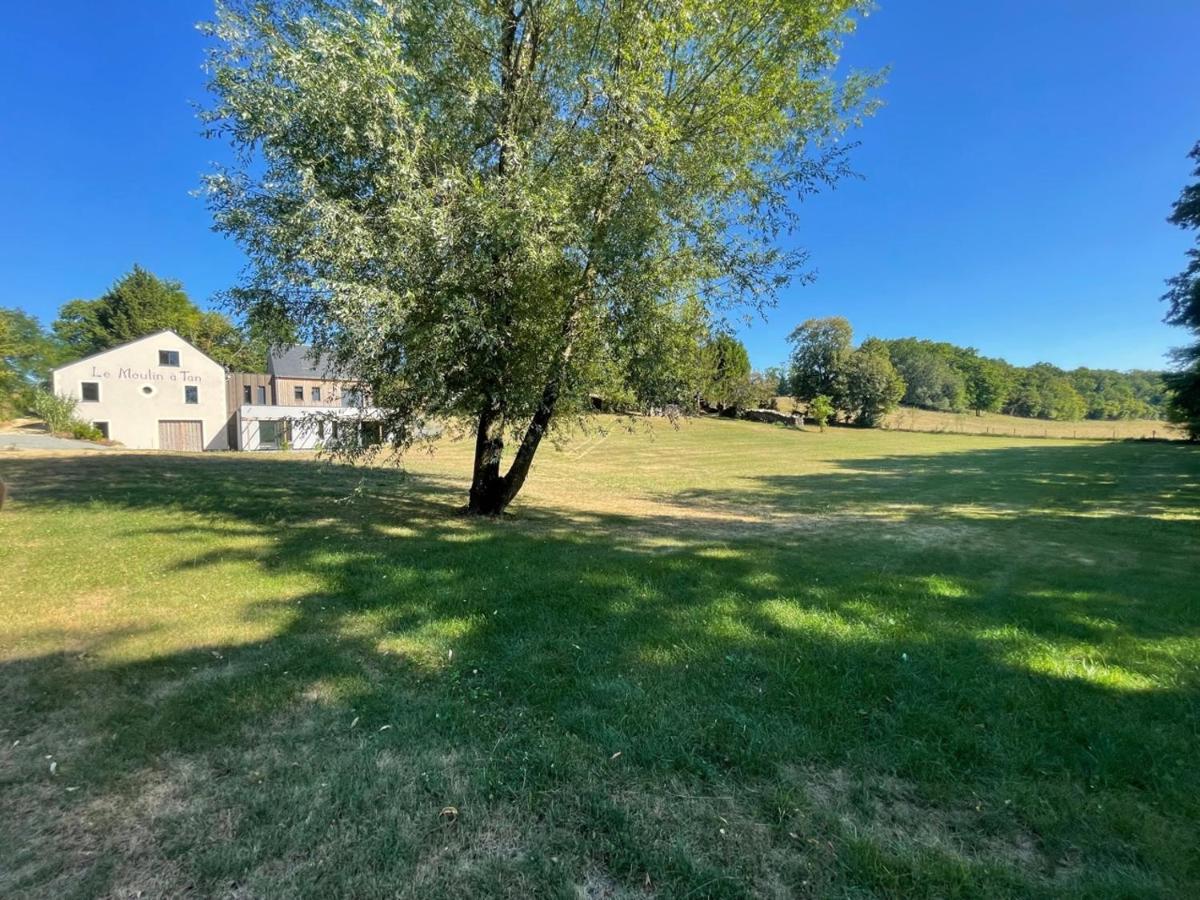 Gites Du Moulin A Tan A Sache 37 Exteriér fotografie
